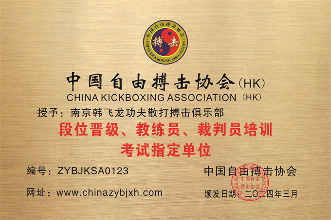 南京韩飞龙功夫散打搏击俱乐部