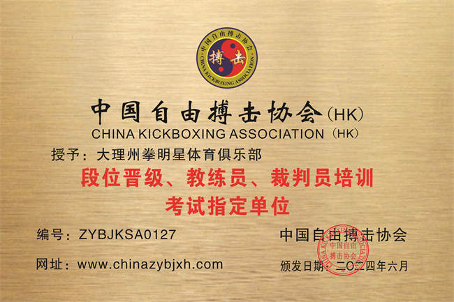 大理州拳明星体育俱乐部